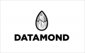 데이타몬드 (DATAMOND) 로고